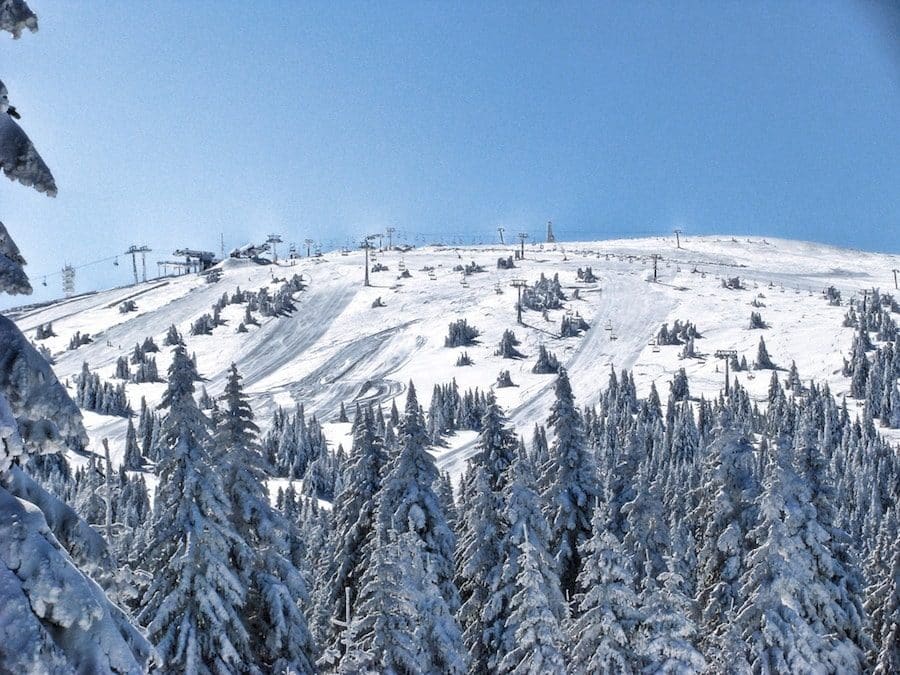 Serbia Travel Blog_Things to do in Serbia_Skiing in Kopaonik