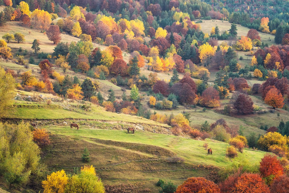 Largest Hikes In Bulgaria: 16 Bulgaria Mountaineering Spots 